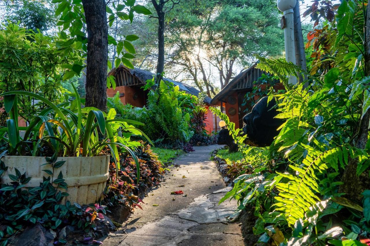 Victoria Falls Backpackers Lodge Екстер'єр фото