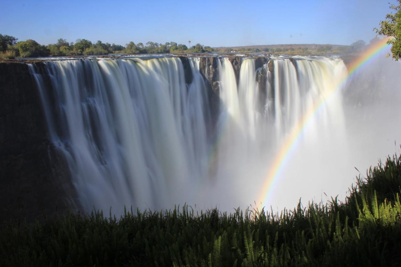 Victoria Falls Backpackers Lodge Екстер'єр фото