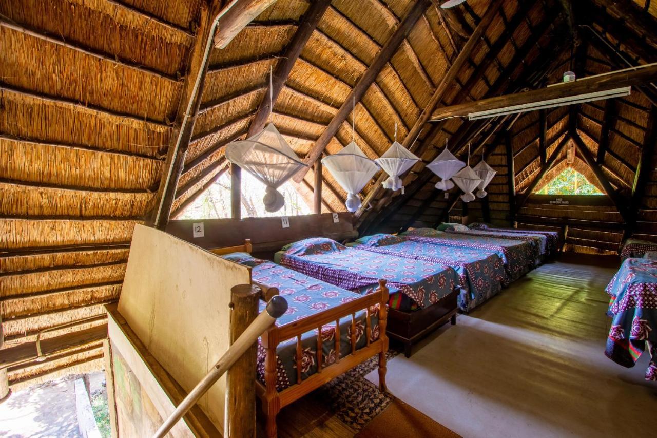 Victoria Falls Backpackers Lodge Екстер'єр фото