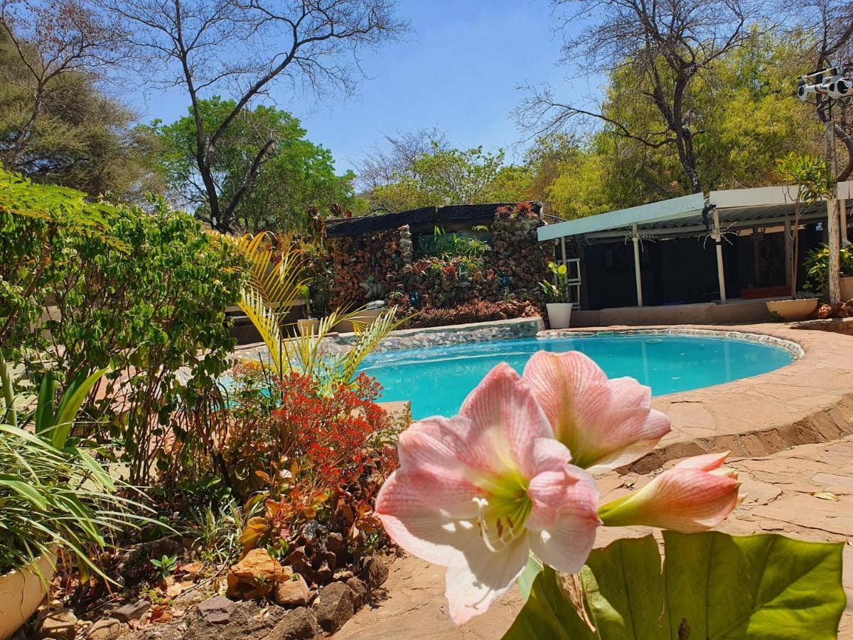 Victoria Falls Backpackers Lodge Екстер'єр фото