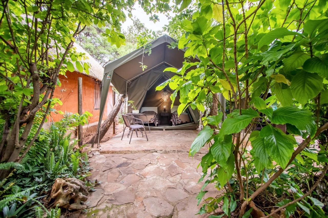 Victoria Falls Backpackers Lodge Екстер'єр фото