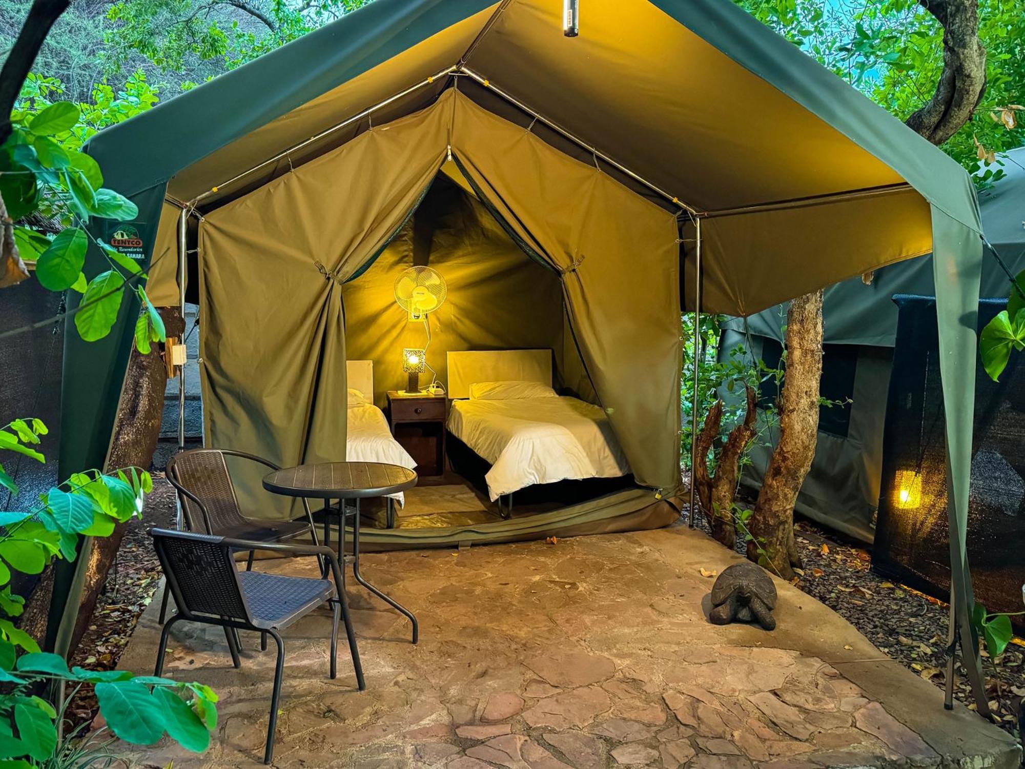 Victoria Falls Backpackers Lodge Екстер'єр фото