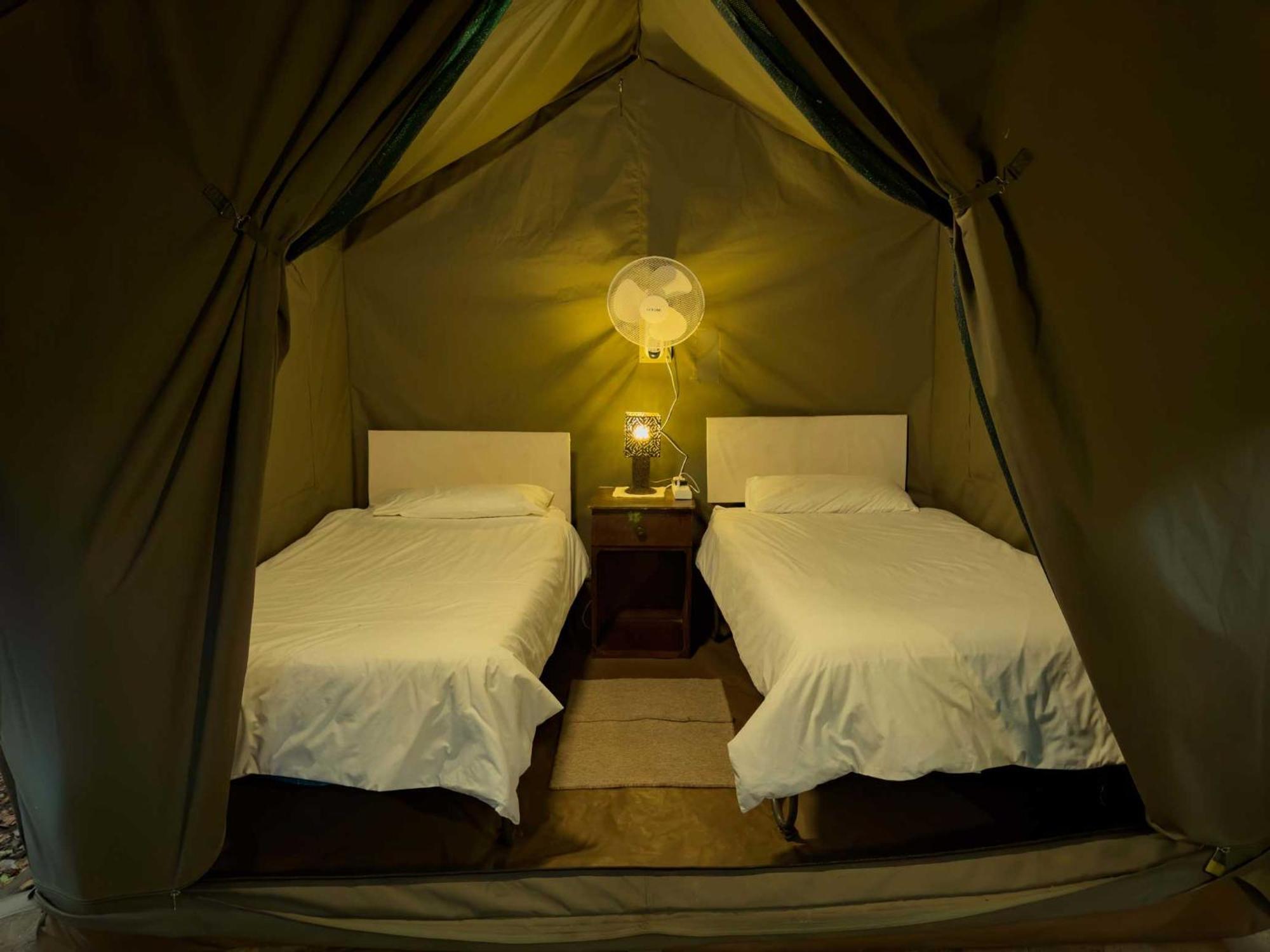 Victoria Falls Backpackers Lodge Екстер'єр фото
