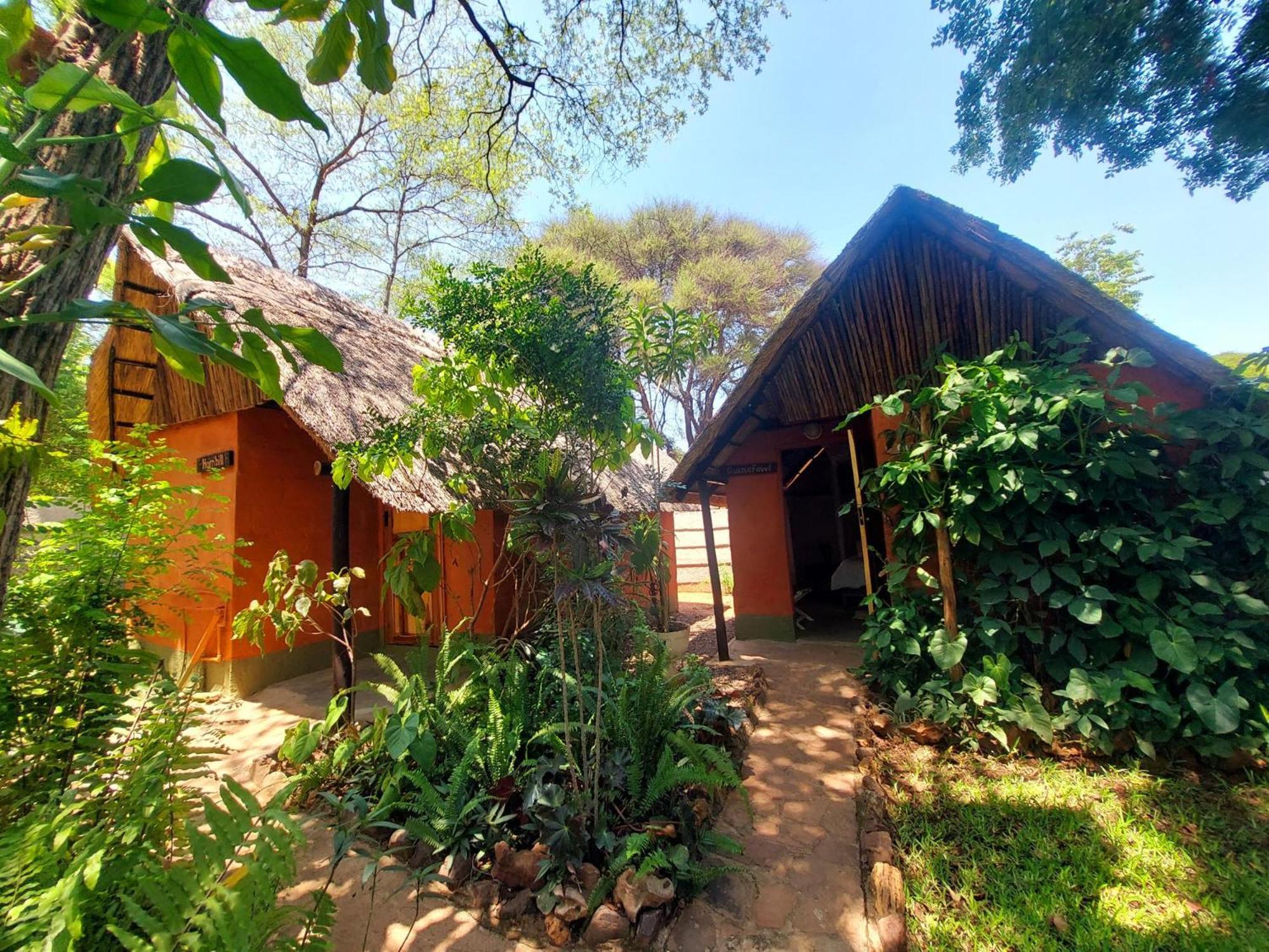 Victoria Falls Backpackers Lodge Екстер'єр фото