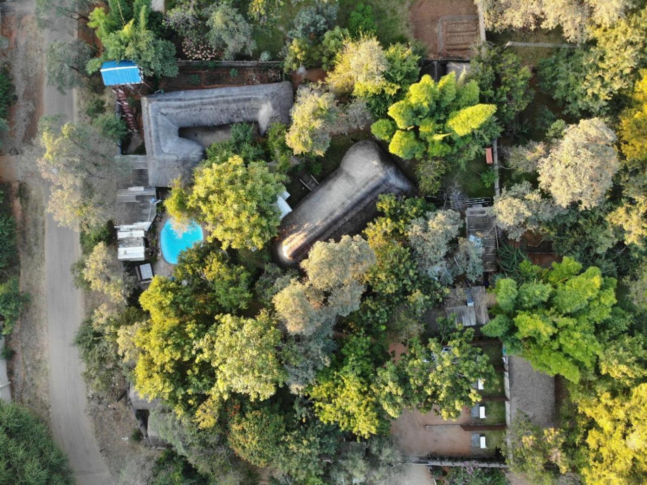 Victoria Falls Backpackers Lodge Екстер'єр фото